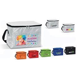 210D cooler bag with aluminium foil lining 210D cooler bag with aluminium foil lining