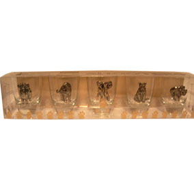 Big 5 shot glass set; SA flags on tots Big 5 shot glass set; SA flags on tots