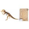 http://www.giftwrap.co.za/images/products/small/GWAA203s.jpg