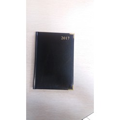 A5 page a day executive diary
