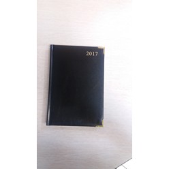 Executive Diary.A5page a day executive diary