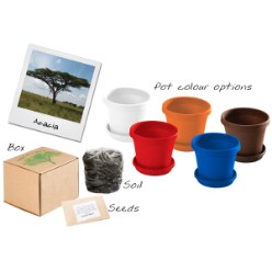 An eco-friendly gift with a theme of new beginnings, growth and a positive impact on the world. Grow a tree from a seed. Pot and saucer supplied with soil and Acacia tree seeds.