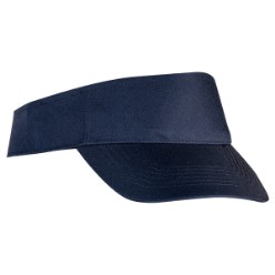 BASIC SUN VISOR BASIC SUN VISOR