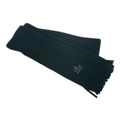 Polar fleece Scarf with fringe