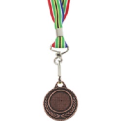 Bronze medal with SA flag ribbon