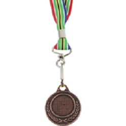 Bronze medal with SA flag ribbon includes dome on medal which is made from metal