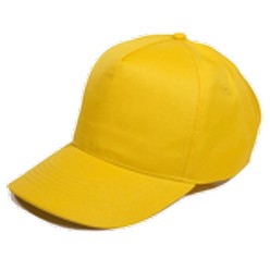 Budget 5 panel polyester cap, polyester fabric, embroided self colour eyelets, pre-curved peak, self fabric velcro strap, hard front