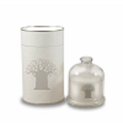 Candle in reusable glass dish with glass dome in tube with baobab tree engraving