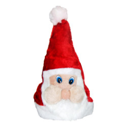 Santa Red Hat