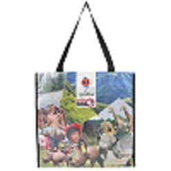 Non-woven shopper bag with carry handles