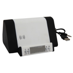 FM Radio Docking Station