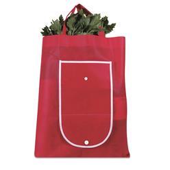 Fold Up Shopper