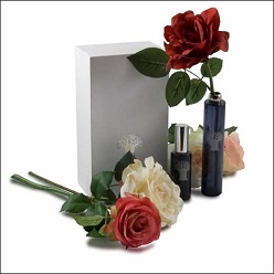 Fragrance Rose Spray packed in silk box