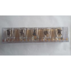 Big 5 Shot Glass Set