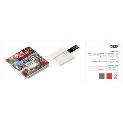 Picasso Square Memory Stick