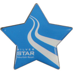 Domed star fridge magnet