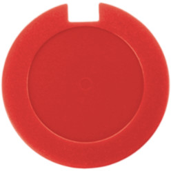 Licence disk holder
