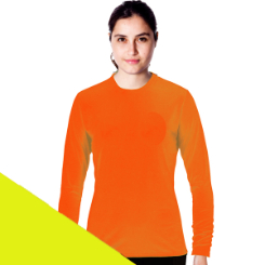 Ladies Raye Long Sleeve crew neck shirt