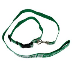 Full colour dog leash with collar
