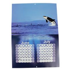 Wall calendar