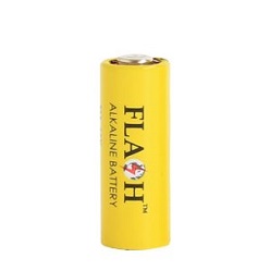 Alkaline battery