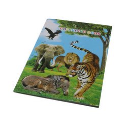 Wildlife Stickers & Colouring Book