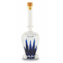 Tequila bottle with agave blue plant