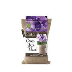 Grow bag-Edible flowers-Pancy lavender