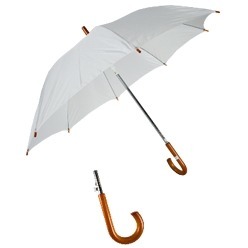 Promotion straight Auto Umbrella