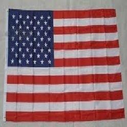 Corporate Flag