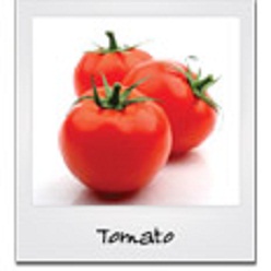 Tomatoes