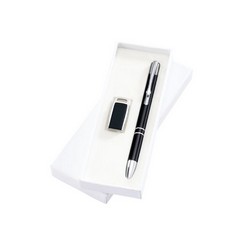 Armanda 8GB USB Flash Drive &Pen Set