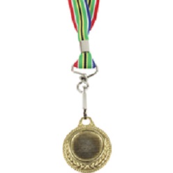 Gold medal with SA flag ribbon