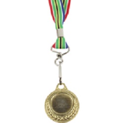 Gold medal with SA flag ribbon  includes dome on medal which is made from metal