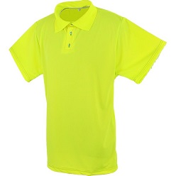 Mens golf shirt made from moisture management facric, 145g polyester birdseye