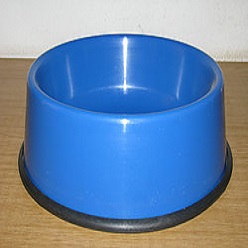 Large dog bowl with executive strip