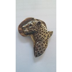 Leopard, Africa magnet