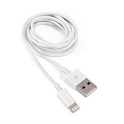 Lightning Cable