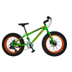 Lil Dog 20 Fat Bike
