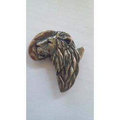 Lion, Africa magnet