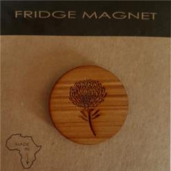 Magnet pincushion protea wood