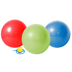 Medalist Anti-Burst Gym Ball