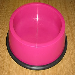 Medium dog bowl with executive strip