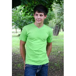 Mens V-neck T-shirts: 160gsm carded cotton, V-neck styling, double ribbed collar