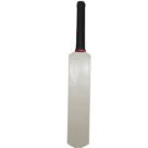 Cricket Worx Autograph bat Plain 30cm Wooden