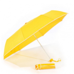 Mini Umbrella