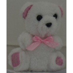 Mini White Teddy Bear