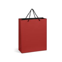 Paper gift bag
