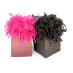 Pashmina in feathered box