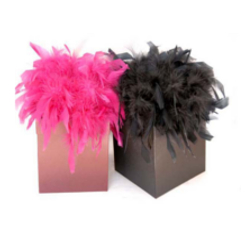 Pashmina in a selection of colours in a feathered box